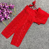 V303: Beautiful Readymade lucknowi work full sleeves blouses V303: Beautiful Readymade lucknowi work full sleeves blouses