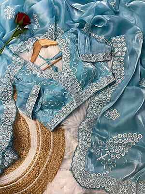 M1230:Ready to ship Jimmy choo saree with stitched blouse