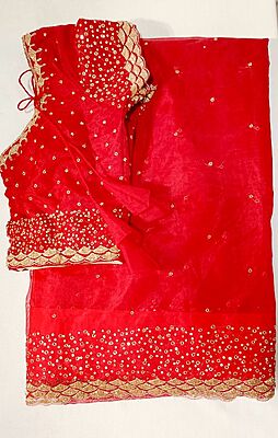 P559: Ready To Ship Beautiful Designer Organaza Saree in Sequins Work Boder With Stitched Blouse