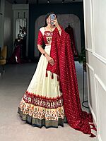 P410: Beautiful Dola Silk Lehanga Set
