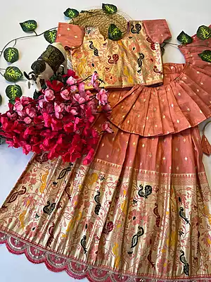 V765:Beautiful Two In One Paithani Tissue Lehenga Sets