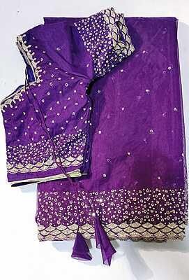 P561: Ready To Ship Beautiful Designer Organza Saree In Sequins Work Boder With Stitched Blouse