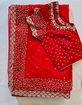 P559: Ready To Ship Beautiful Designer Organaza Saree in Sequins Work Boder With Stitched Blouse